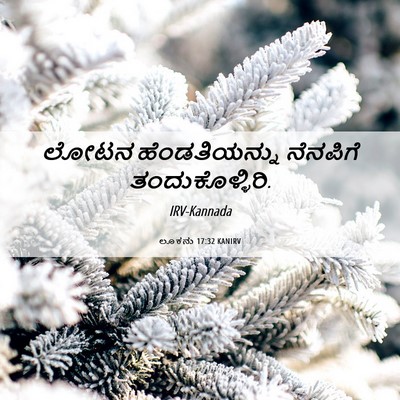 Picture 06 - ಲೂಕನು 17:32 KANIRV - ಲೋಟನ ಹೆಂಡತಿಯನ್ನು - Bible Verse Picture