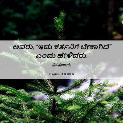 Picture 06 - ಲೂಕನು 19:34 KANIRV - ಅವರು, “ಇದು - Bible Verse Picture