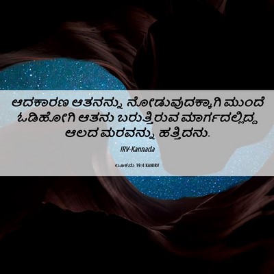 Picture 06 - ಲೂಕನು 19:4 KANIRV - ಆದಕಾರಣ ಆತನನ್ನು - Bible Verse Picture
