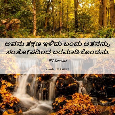 Picture 06 - ಲೂಕನು 19:6 KANIRV - ಅವನು ತಕ್ಷಣ ಇಳಿದು - Bible Verse Picture