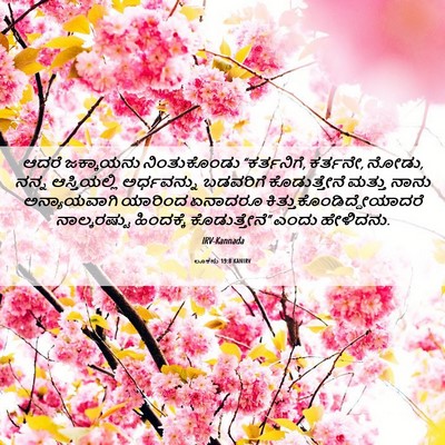 Picture 06 - ಲೂಕನು 19:8 KANIRV - ಆದರೆ ಜಕ್ಕಾಯನು - Bible Verse Picture