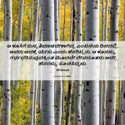Picture 06 - ಲೂಕನು 2:21 KANIRV - ಆ ಕೂಸಿಗೆ - Bible Verse Picture