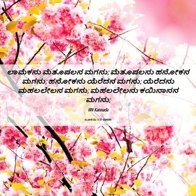 Picture 06 - ಲೂಕನು 3:37 KANIRV - ಲಾಮೆಕನು ಮೆತೂಷಲನ - Bible Verse Picture
