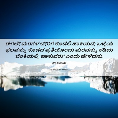 Picture 06 - ಲೂಕನು 3:9 KANIRV - ಈಗಲೇ ಮರಗಳ ಬೇರಿಗೆ - Bible Verse Picture