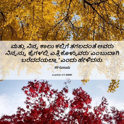 Picture 06 - ಲೂಕನು 4:11 KANIRV - ಮತ್ತು ನಿನ್ನ ಕಾಲು - Bible Verse Picture