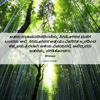 Picture 06 - ಲೂಕನು 4:38 KANIRV - ಆತನು - Bible Verse Picture