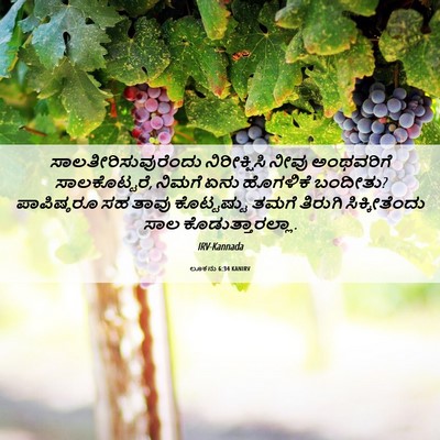Picture 06 - ಲೂಕನು 6:34 KANIRV - ಸಾಲತೀರಿಸುವುರೆಂದು - Bible Verse Picture