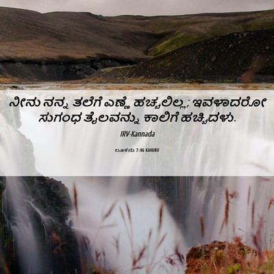 Picture 06 - ಲೂಕನು 7:46 KANIRV - ನೀನು ನನ್ನ ತಲೆಗೆ - Bible Verse Picture