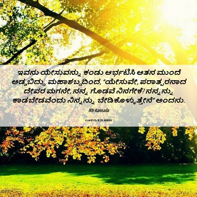 Picture 06 - ಲೂಕನು 8:28 KANIRV - ಇವನು ಯೇಸುವನ್ನು - Bible Verse Picture