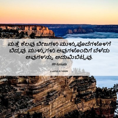 Picture 06 - ಲೂಕನು 8:7 KANIRV - ಮತ್ತೆ ಕೆಲವು - Bible Verse Picture