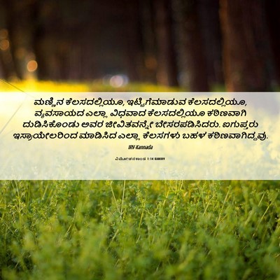 Picture 06 - ವಿಮೋಚನಕಾಂಡ 1:14 KANIRV - ಮಣ್ಣಿನ - Bible Verse Picture