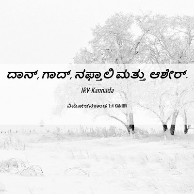 Picture 06 - ವಿಮೋಚನಕಾಂಡ 1:4 KANIRV - ದಾನ್, ಗಾದ್, ನಫ್ತಾಲಿ - Bible Verse Picture