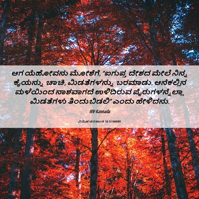 Picture 06 - ವಿಮೋಚನಕಾಂಡ 10:12 KANIRV - ಆಗ ಯೆಹೋವನು ಮೋಶೆಗೆ, - Bible Verse Picture