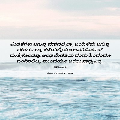 Picture 06 - ವಿಮೋಚನಕಾಂಡ 10:14 KANIRV - ಮಿಡತೆಗಳು ಐಗುಪ್ತ - Bible Verse Picture