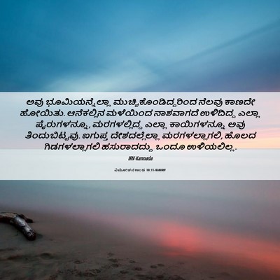 Picture 06 - ವಿಮೋಚನಕಾಂಡ 10:15 KANIRV - ಅವು ಭೂಮಿಯನ್ನೆಲ್ಲಾ - Bible Verse Picture