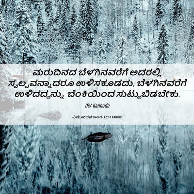 Picture 06 - ವಿಮೋಚನಕಾಂಡ 12:10 KANIRV - ಮರುದಿನದ - Bible Verse Picture