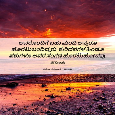 Picture 06 - ವಿಮೋಚನಕಾಂಡ 12:38 KANIRV - ಅವರೊಂದಿಗೆ ಬಹು - Bible Verse Picture
