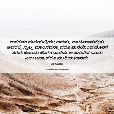 Picture 06 - ವಿಮೋಚನಕಾಂಡ 12:46 KANIRV - ಅವರವರ ಮನೆಯಲ್ಲಿಯೇ - Bible Verse Picture
