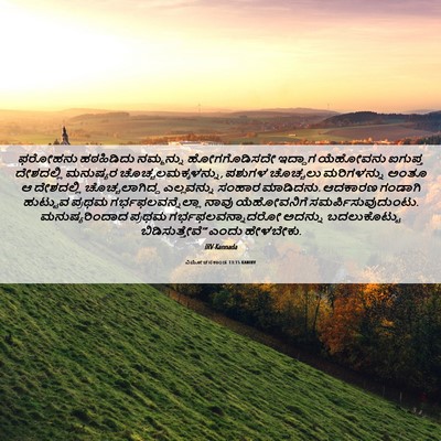 Picture 06 - ವಿಮೋಚನಕಾಂಡ 13:15 KANIRV - ಫರೋಹನು ಹಠಹಿಡಿದು - Bible Verse Picture