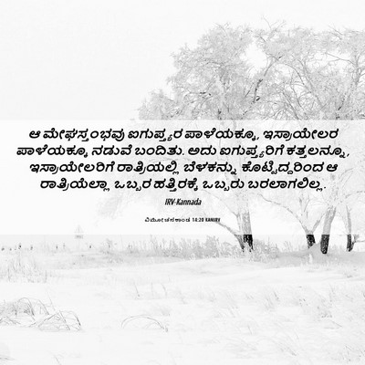 Picture 06 - ವಿಮೋಚನಕಾಂಡ 14:20 KANIRV - ಆ ಮೇಘಸ್ತಂಭವು - Bible Verse Picture