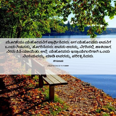Picture 06 - ವಿಮೋಚನಕಾಂಡ 15:25 KANIRV - ಮೋಶೆಯು ಯೆಹೋವನಿಗೆ - Bible Verse Picture
