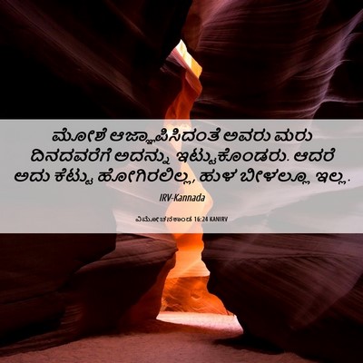 Picture 06 - ವಿಮೋಚನಕಾಂಡ 16:24 KANIRV - ಮೋಶೆ - Bible Verse Picture