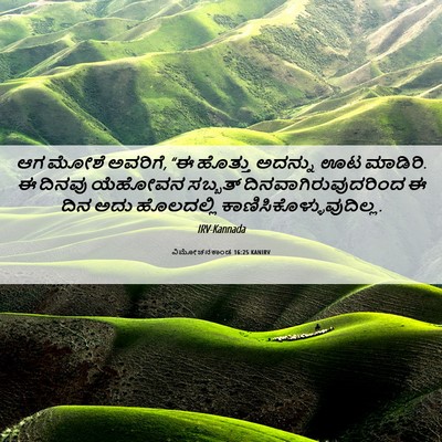 Picture 06 - ವಿಮೋಚನಕಾಂಡ 16:25 KANIRV - ಆಗ ಮೋಶೆ ಅವರಿಗೆ, “ಈ - Bible Verse Picture