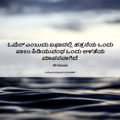 Picture 06 - ವಿಮೋಚನಕಾಂಡ 16:36 KANIRV - ಓಮೆರ್ ಎಂಬುದು - Bible Verse Picture