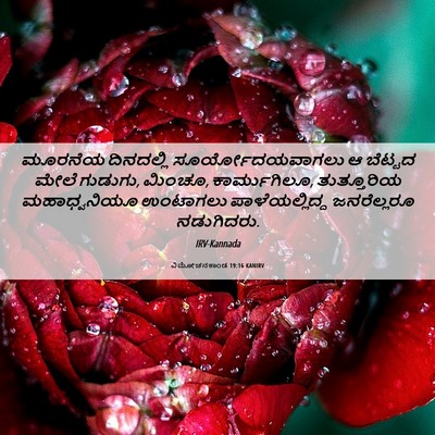 Picture 06 - ವಿಮೋಚನಕಾಂಡ 19:16 KANIRV - ಮೂರನೆಯ ದಿನದಲ್ಲಿ - Bible Verse Picture