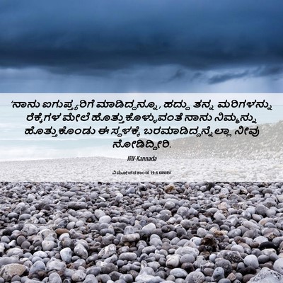 Picture 06 - ವಿಮೋಚನಕಾಂಡ 19:4 KANIRV - ‘ನಾನು - Bible Verse Picture