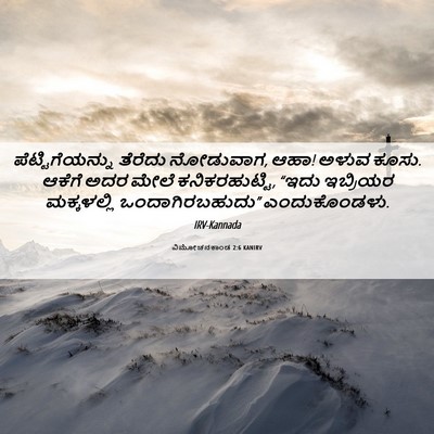 Picture 06 - ವಿಮೋಚನಕಾಂಡ 2:6 KANIRV - ಪೆಟ್ಟಿಗೆಯನ್ನು - Bible Verse Picture
