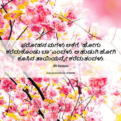 Picture 06 - ವಿಮೋಚನಕಾಂಡ 2:8 KANIRV - ಫರೋಹನ ಮಗಳು ಆಕೆಗೆ, - Bible Verse Picture
