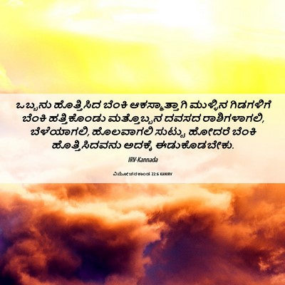 Picture 06 - ವಿಮೋಚನಕಾಂಡ 22:6 KANIRV - ಒಬ್ಬನು ಹೊತ್ತಿಸಿದ - Bible Verse Picture