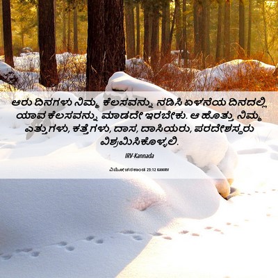 Picture 06 - ವಿಮೋಚನಕಾಂಡ 23:12 KANIRV - ಆರು ದಿನಗಳು ನಿಮ್ಮ - Bible Verse Picture