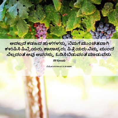 Picture 06 - ವಿಮೋಚನಕಾಂಡ 23:28 KANIRV - ಅದಲ್ಲದೆ ಕಡಜದ - Bible Verse Picture