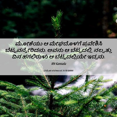 Picture 06 - ವಿಮೋಚನಕಾಂಡ 24:18 KANIRV - ಮೋಶೆಯು ಆ ಮೇಘದೊಳಗೆ - Bible Verse Picture