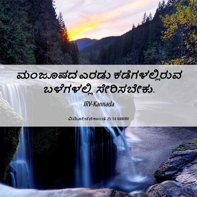 Picture 06 - ವಿಮೋಚನಕಾಂಡ 25:14 KANIRV - ಮಂಜೂಷದ ಎರಡು - Bible Verse Picture