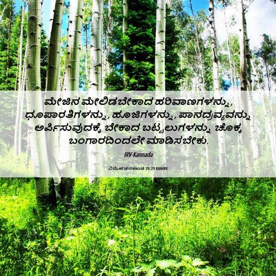 Picture 06 - ವಿಮೋಚನಕಾಂಡ 25:29 KANIRV - ಮೇಜಿನ ಮೇಲಿಡಬೇಕಾದ - Bible Verse Picture