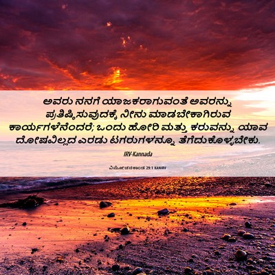 Picture 06 - ವಿಮೋಚನಕಾಂಡ 29:1 KANIRV - ಅವರು ನನಗೆ - Bible Verse Picture