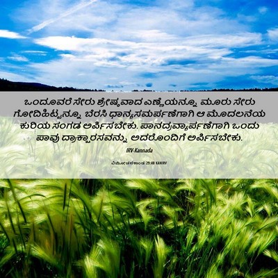 Picture 06 - ವಿಮೋಚನಕಾಂಡ 29:40 KANIRV - ಒಂದೂವರೆ ಸೇರು - Bible Verse Picture