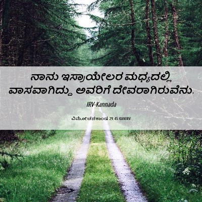 Picture 06 - ವಿಮೋಚನಕಾಂಡ 29:45 KANIRV - ನಾನು ಇಸ್ರಾಯೇಲರ - Bible Verse Picture