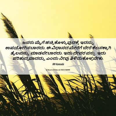 Picture 06 - ವಿಮೋಚನಕಾಂಡ 30:32 KANIRV - ಜನರು ಮೈಗೆ - Bible Verse Picture