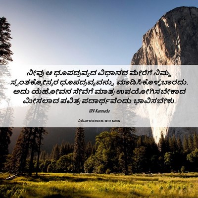 Picture 06 - ವಿಮೋಚನಕಾಂಡ 30:37 KANIRV - ನೀವು ಆ ಧೂಪದ್ರವ್ಯದ - Bible Verse Picture