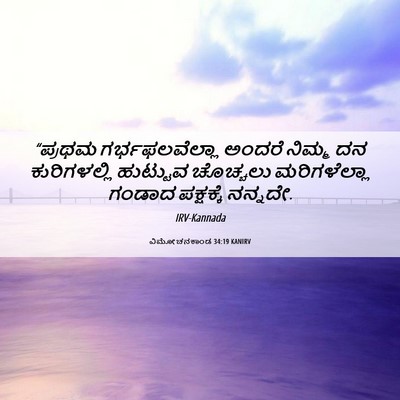 Picture 06 - ವಿಮೋಚನಕಾಂಡ 34:19 KANIRV - “ಪ್ರಥಮ - Bible Verse Picture