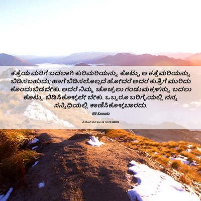 Picture 06 - ವಿಮೋಚನಕಾಂಡ 34:20 KANIRV - ಕತ್ತೆಯ ಮರಿಗೆ - Bible Verse Picture