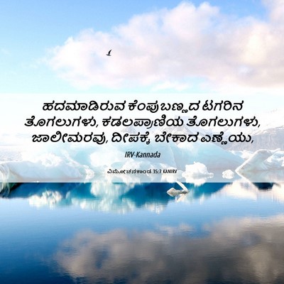 Picture 06 - ವಿಮೋಚನಕಾಂಡ 35:7 KANIRV - ಹದಮಾಡಿರುವ - Bible Verse Picture