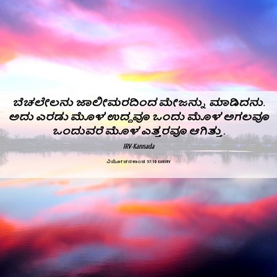Picture 06 - ವಿಮೋಚನಕಾಂಡ 37:10 KANIRV - ಬೆಚಲೇಲನು - Bible Verse Picture
