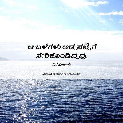 Picture 06 - ವಿಮೋಚನಕಾಂಡ 37:14 KANIRV - ಆ ಬಳೆಗಳು - Bible Verse Picture