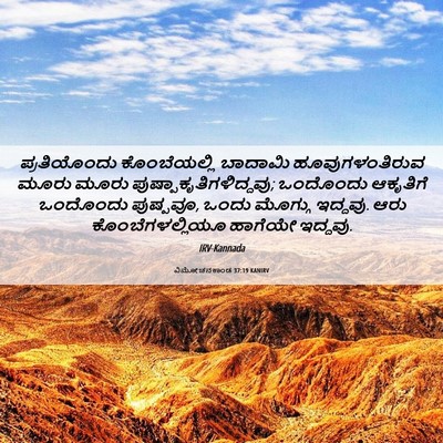 Picture 06 - ವಿಮೋಚನಕಾಂಡ 37:19 KANIRV - ಪ್ರತಿಯೊಂದು - Bible Verse Picture