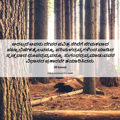 Picture 06 - ವಿಮೋಚನಕಾಂಡ 37:29 KANIRV - ಅದಲ್ಲದೆ ಅವನು ದೇವರ - Bible Verse Picture